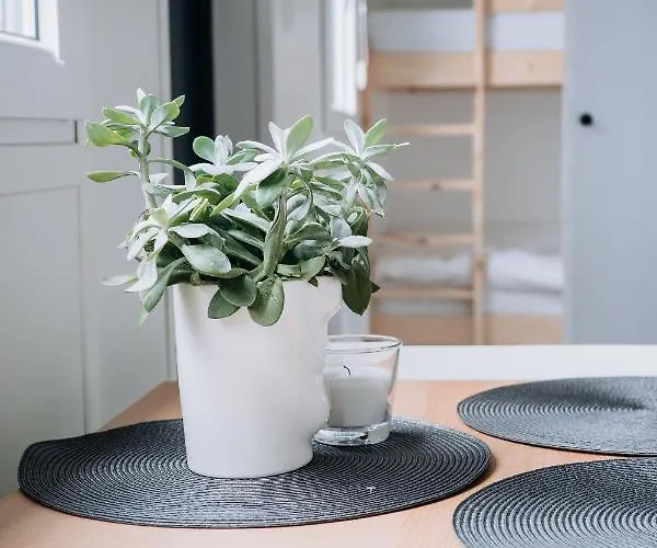 House Arena דירה *